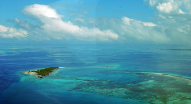 Chumbe Island Reef