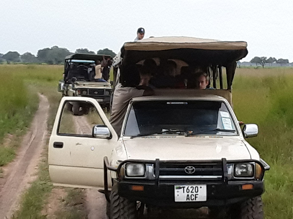 Mikumi Game Drive