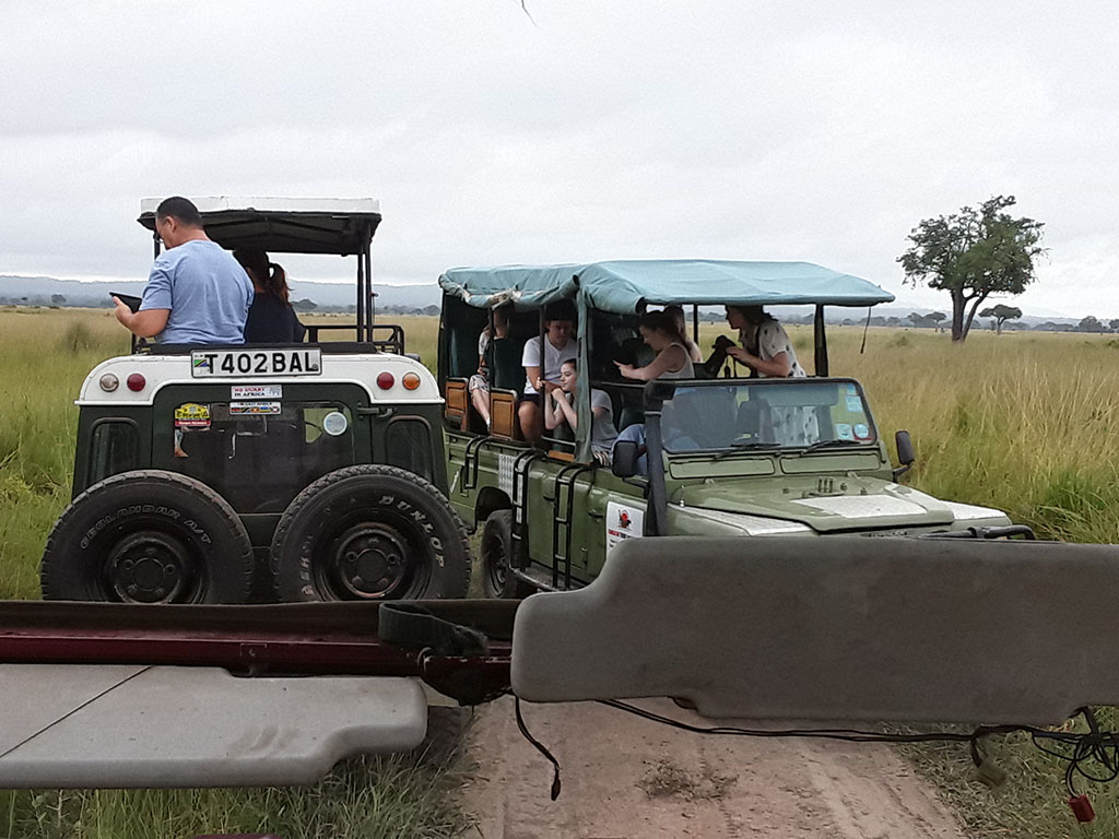 Mikumi Game Drive