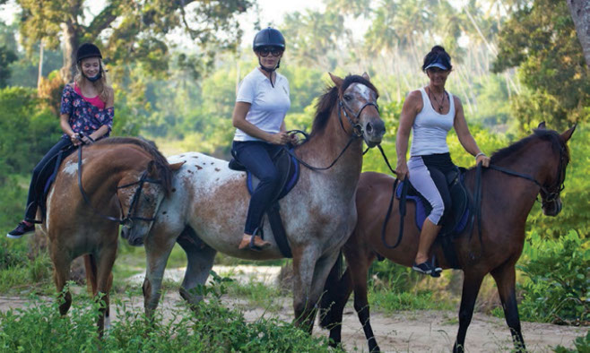 Beach Ride