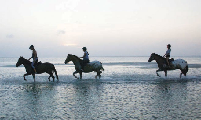 Sea Swim